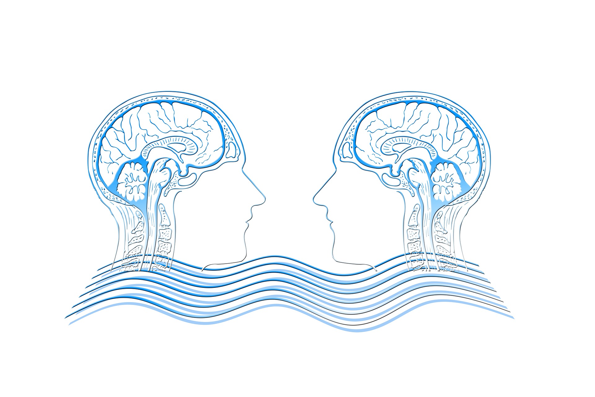 You are currently viewing Empathy: what is the key role of this crucial skill for Young entrepreneurs?